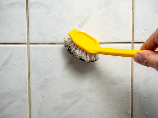 Brandon, SD Mold Removal Company