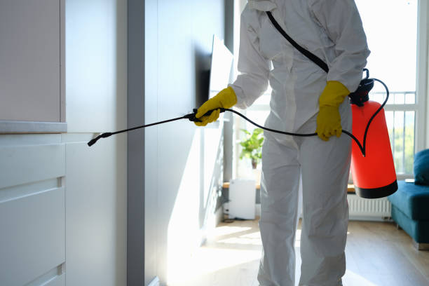 Best Mold Inspection  in Brandon, SD